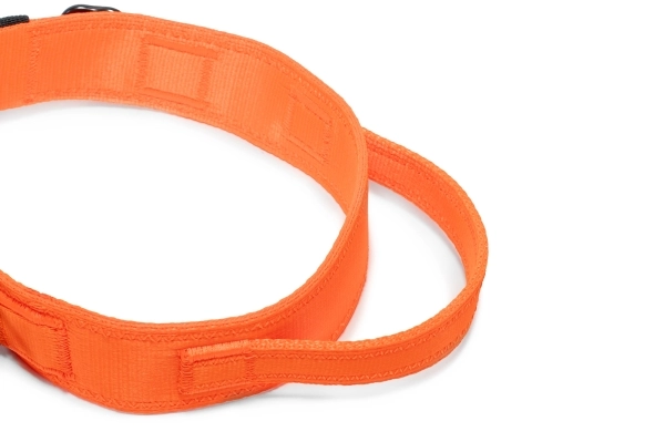 Halsband Fidlock®-Magnetverschluss mit Griff - orange